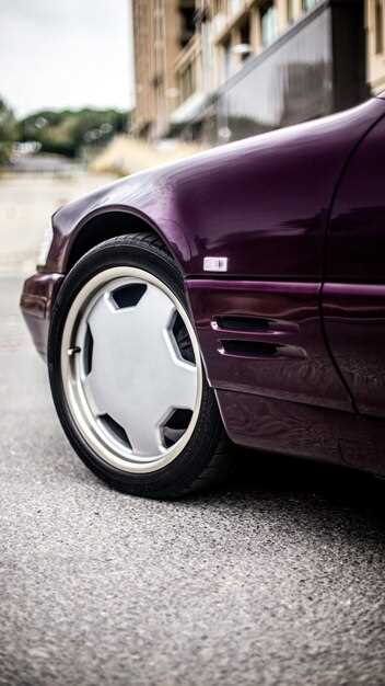 Consejos para almacenar coches de colección con cubiertas adecuadas